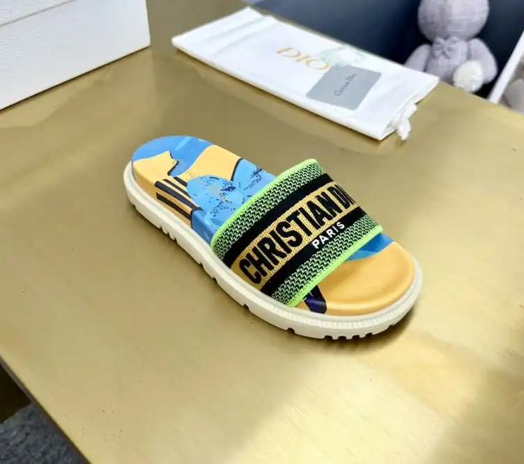 hype Christian Dior Slippers