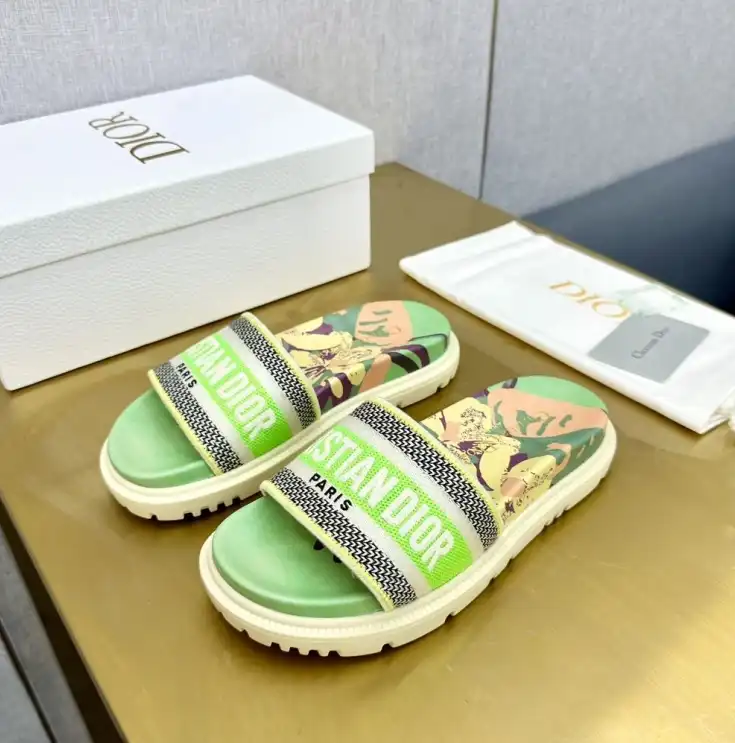 hype Christian Dior Slippers