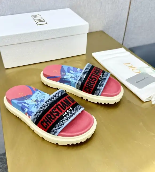 hype Christian Dior Slippers