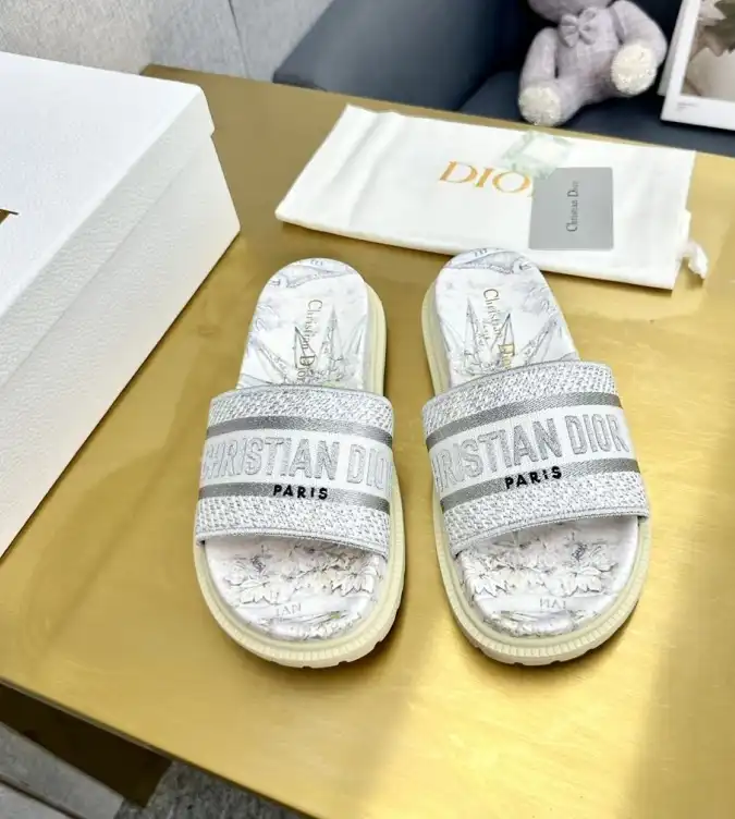 hype Christian Dior Slippers