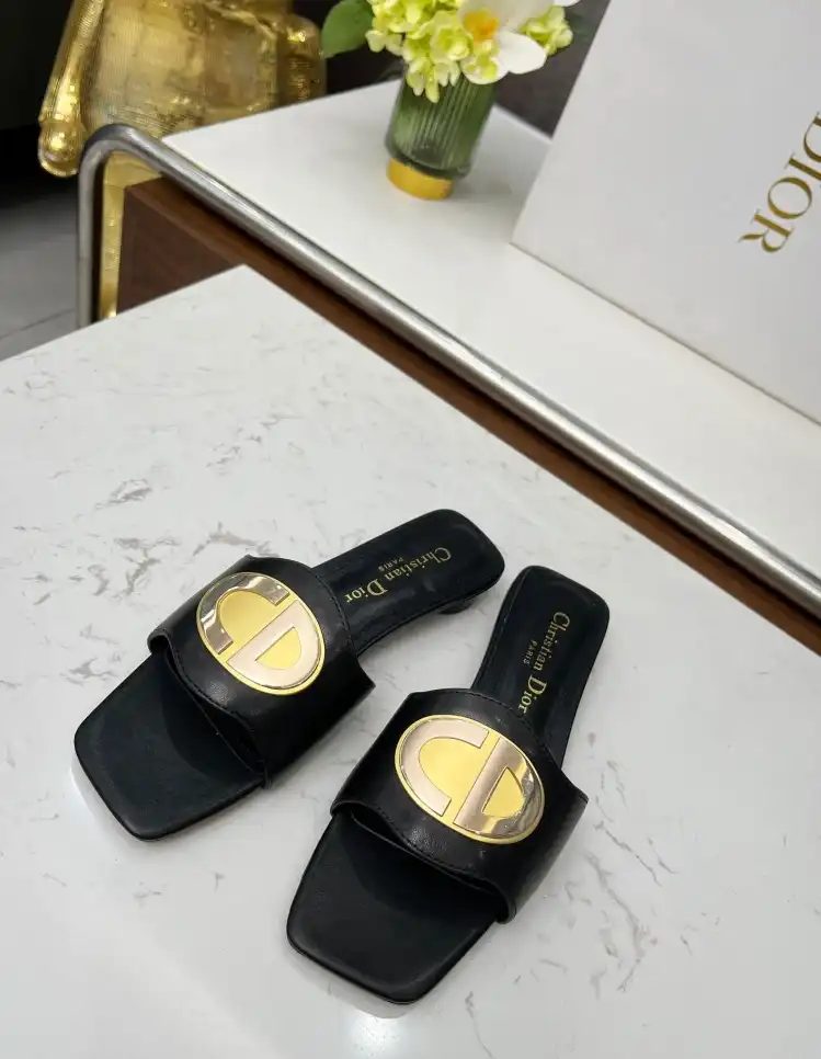 hype Christian Dior Slippers