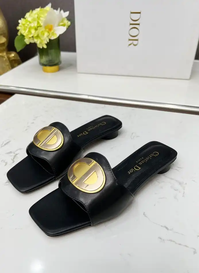 hype Christian Dior Slippers