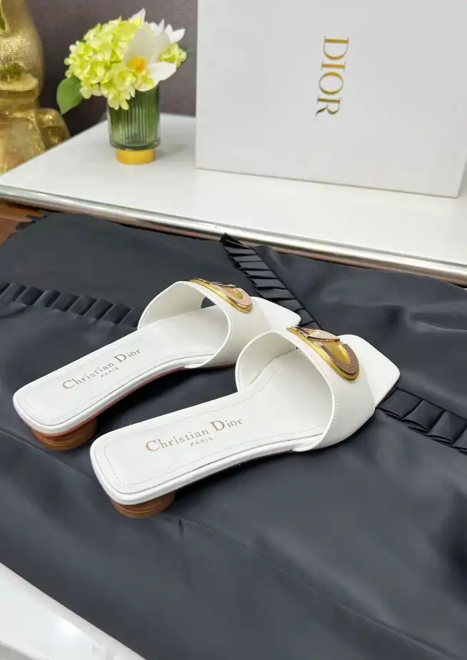 hype Christian Dior Slippers