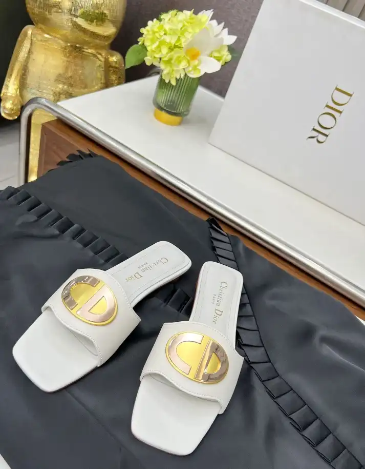 hype Christian Dior Slippers