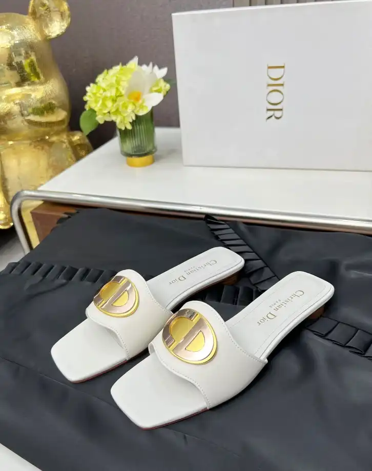 hype Christian Dior Slippers