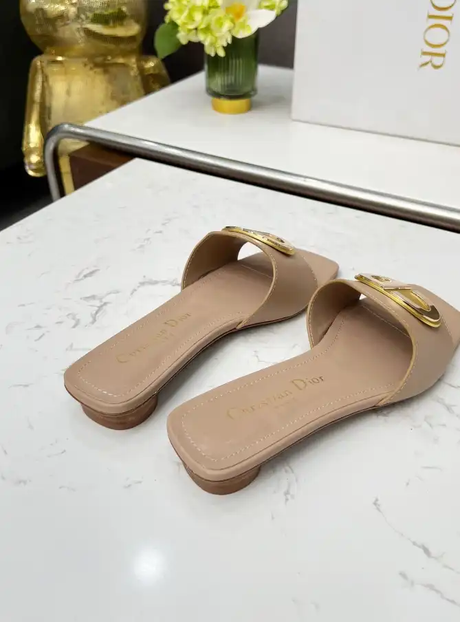 hype Christian Dior Slippers