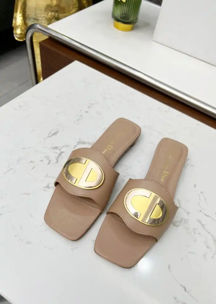 hype Christian Dior Slippers