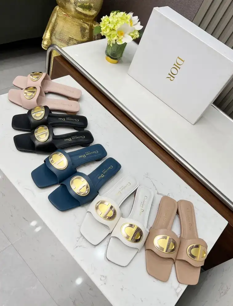 hype Christian Dior Slippers