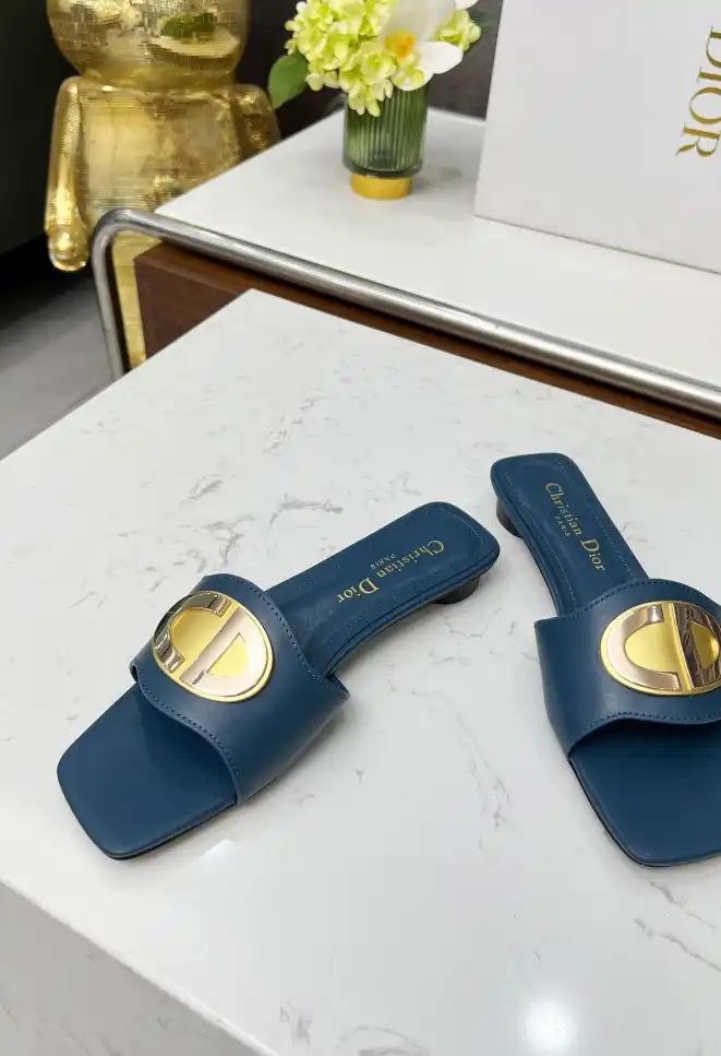 hype Christian Dior Slippers