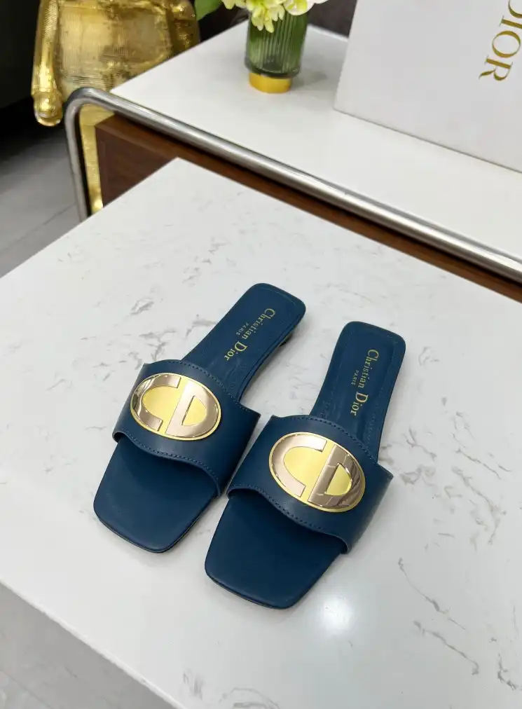 hype Christian Dior Slippers