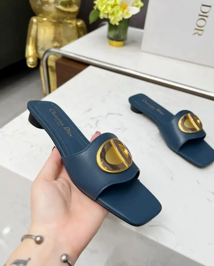 hype Christian Dior Slippers