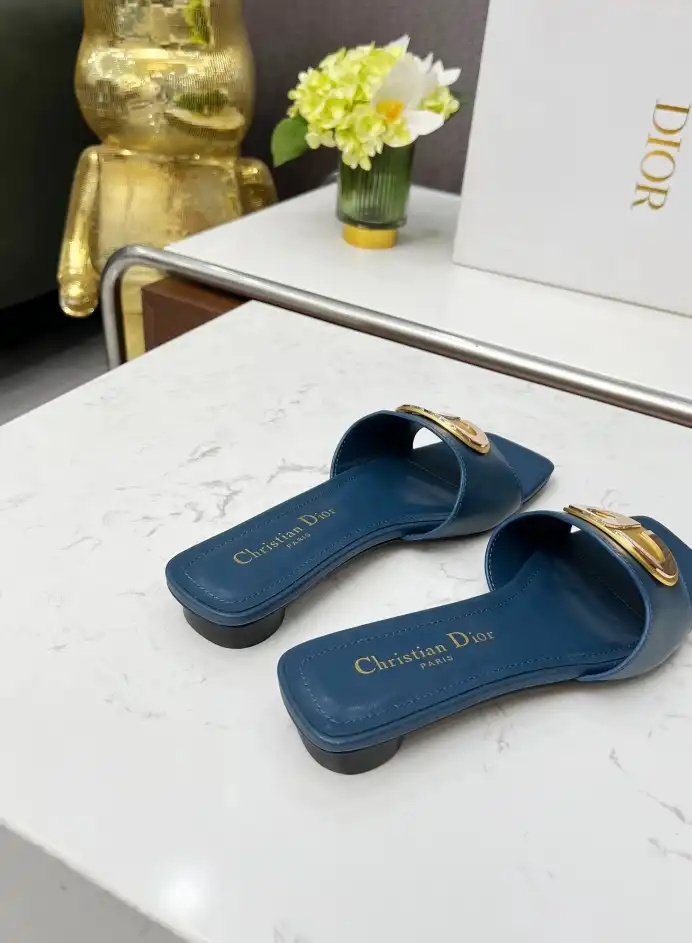 hype Christian Dior Slippers