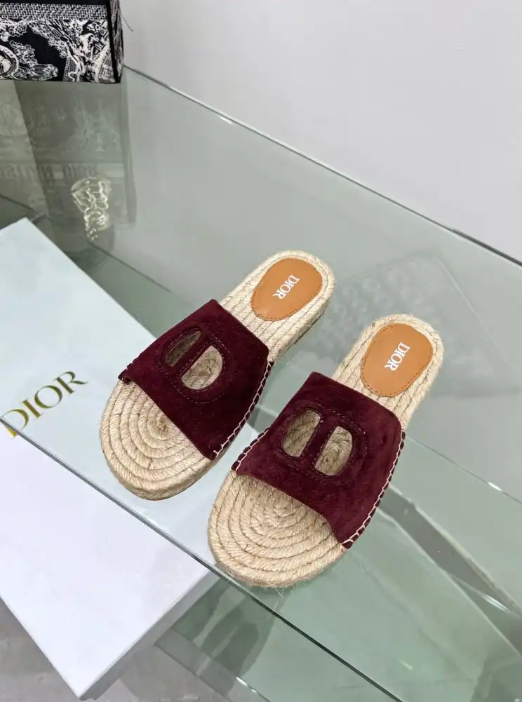 hype Christian Dior Slippers