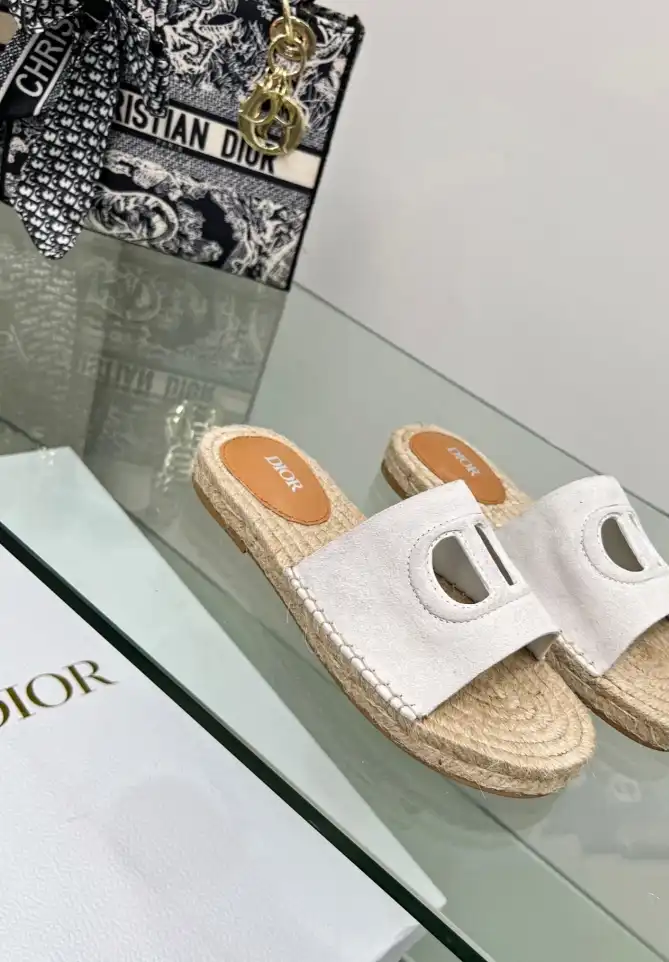 hype Christian Dior Slippers