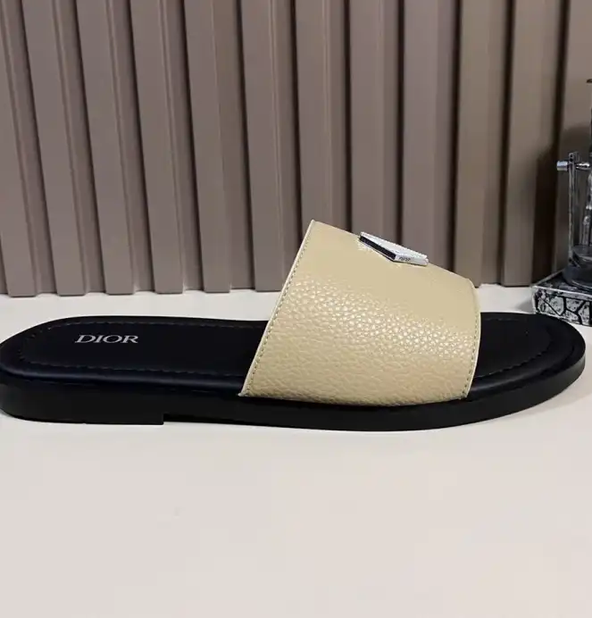 hype Christian Dior Slippers