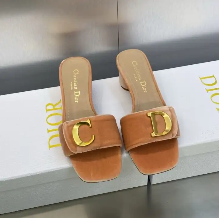 hype Christian Dior Slippers