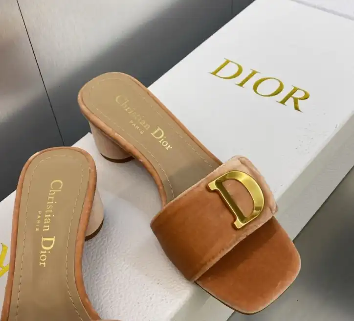 hype Christian Dior Slippers