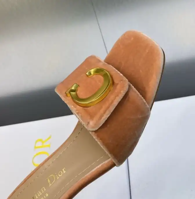 hype Christian Dior Slippers