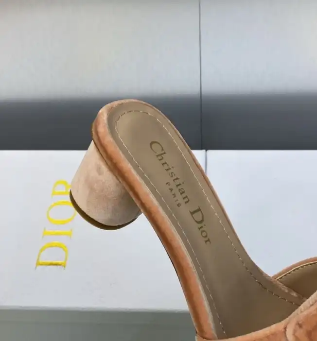 hype Christian Dior Slippers