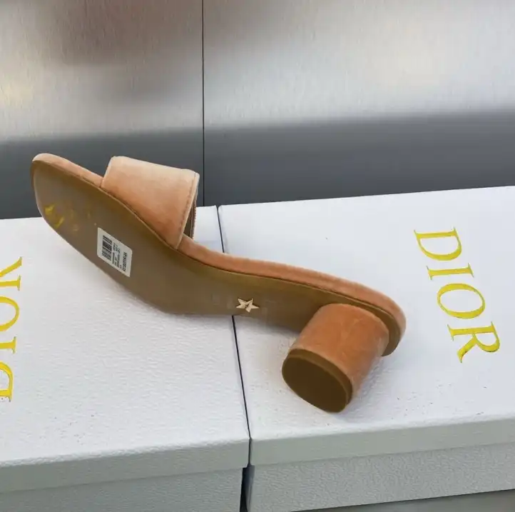 hype Christian Dior Slippers