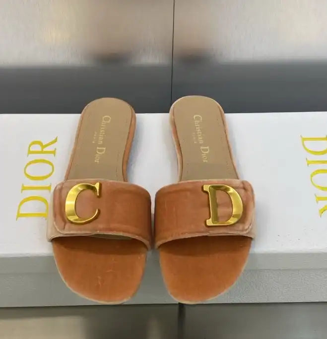 hype Christian Dior Slippers