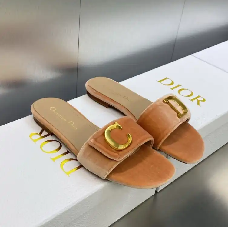 hype Christian Dior Slippers