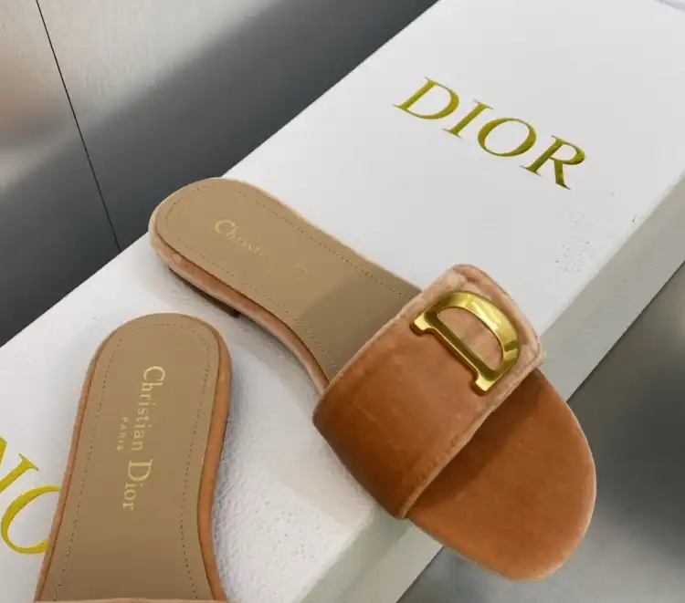 hype Christian Dior Slippers