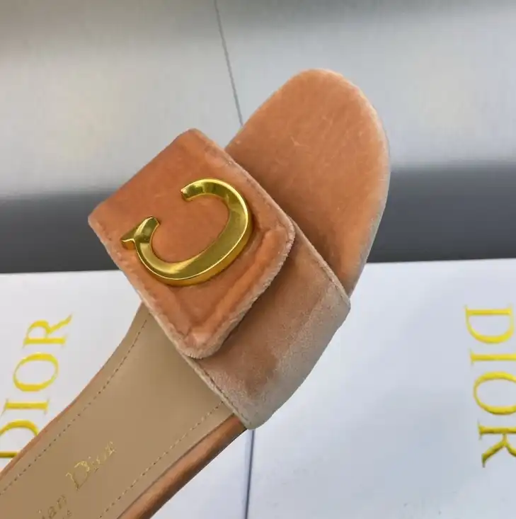 hype Christian Dior Slippers