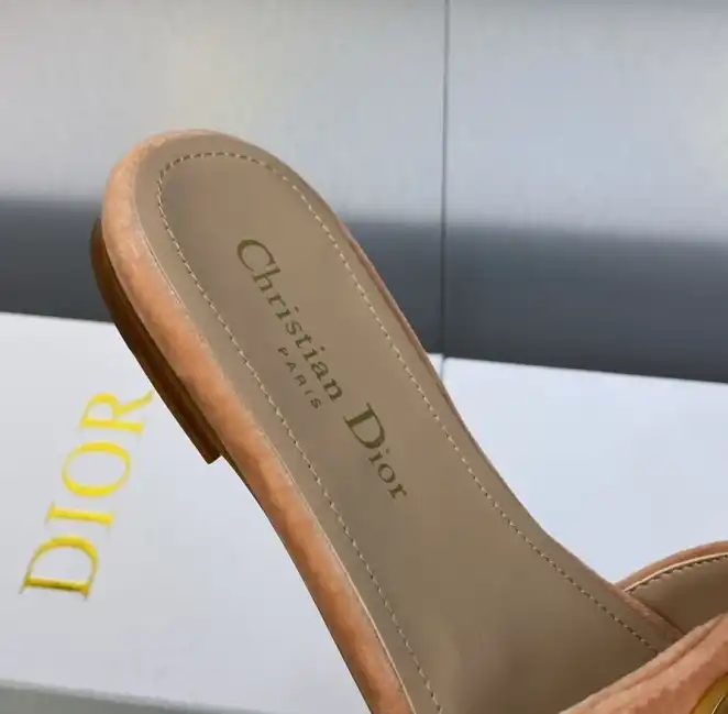 hype Christian Dior Slippers