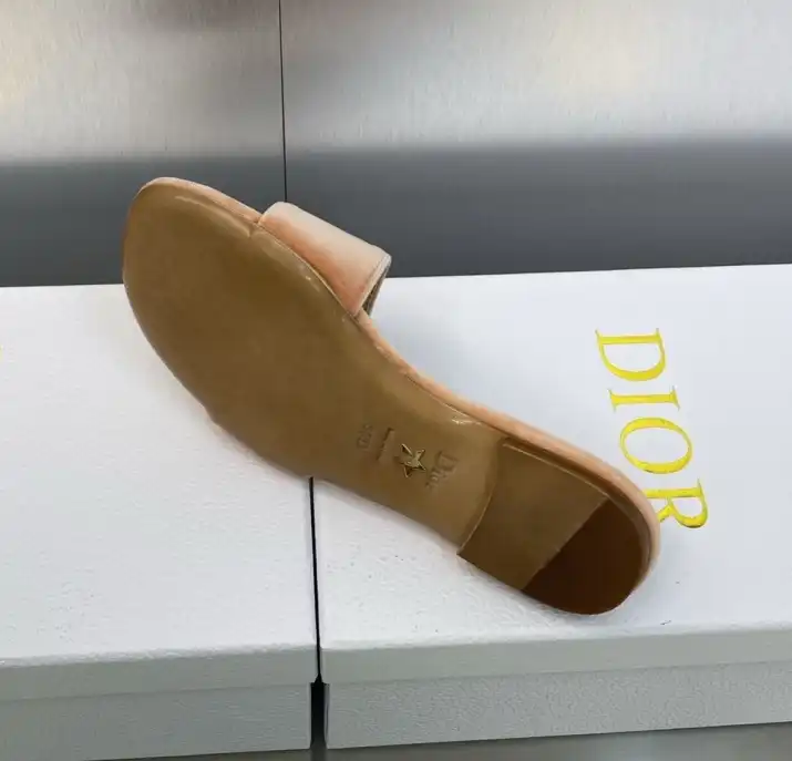 hype Christian Dior Slippers