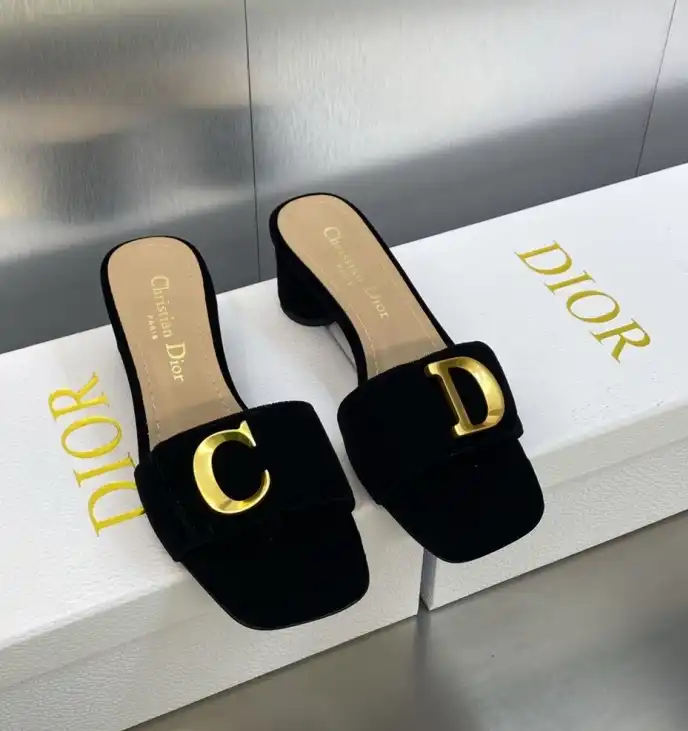 hype Christian Dior Slippers