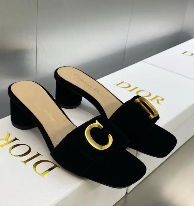 hype Christian Dior Slippers