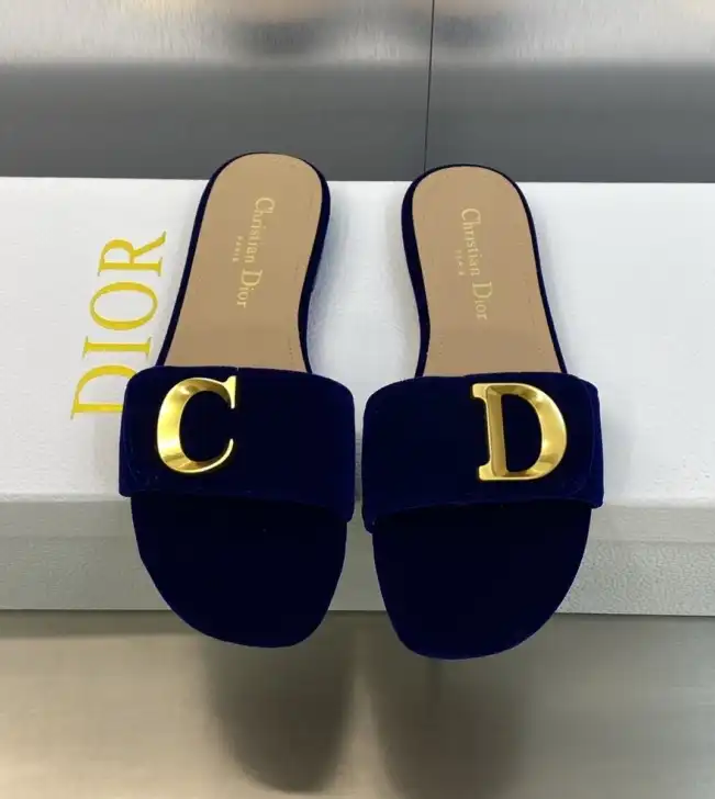 hype Christian Dior Slippers