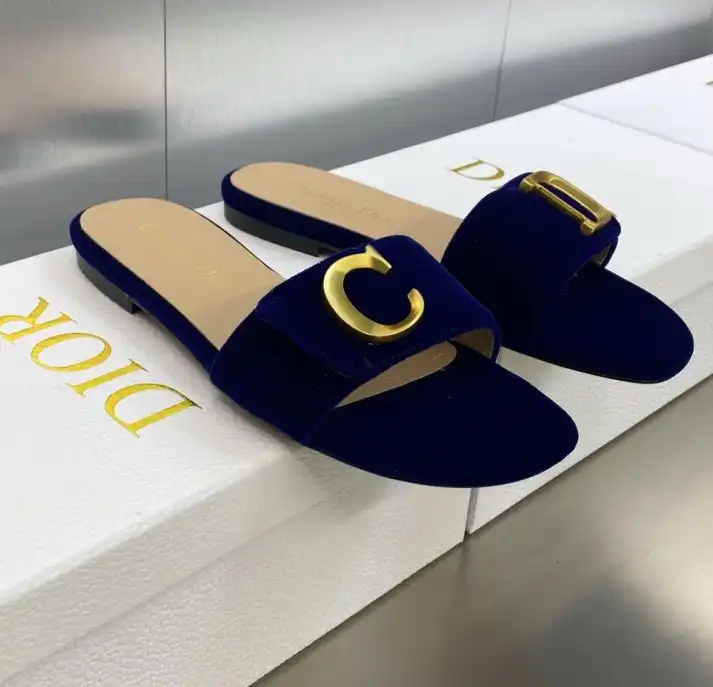 hype Christian Dior Slippers