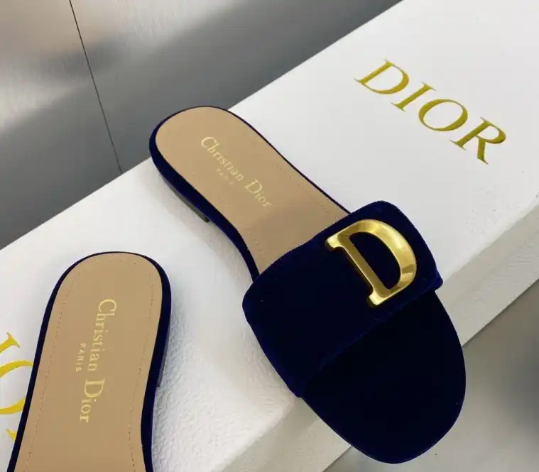 hype Christian Dior Slippers