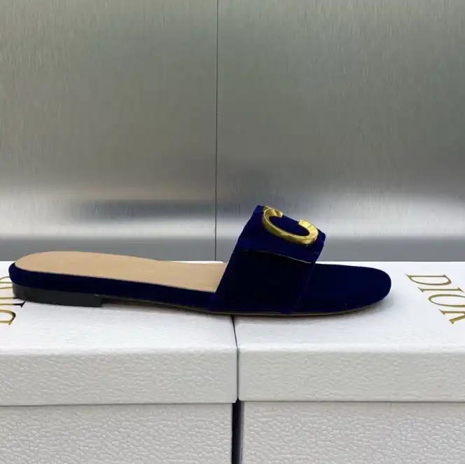 hype Christian Dior Slippers