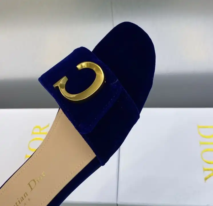 hype Christian Dior Slippers