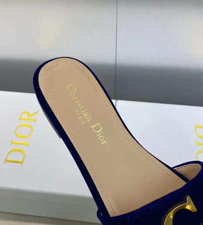 hype Christian Dior Slippers