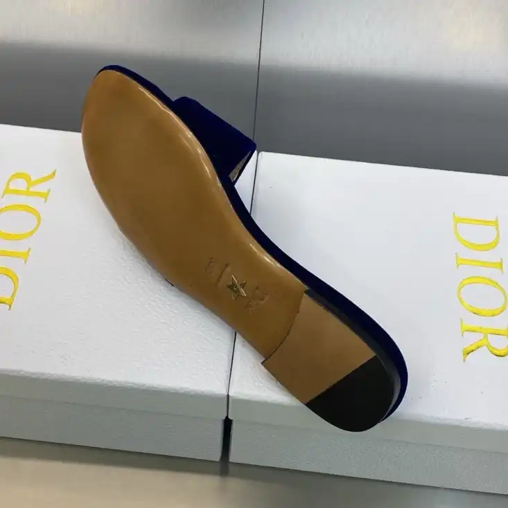 hype Christian Dior Slippers