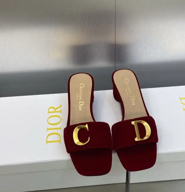 hype Christian Dior Slippers