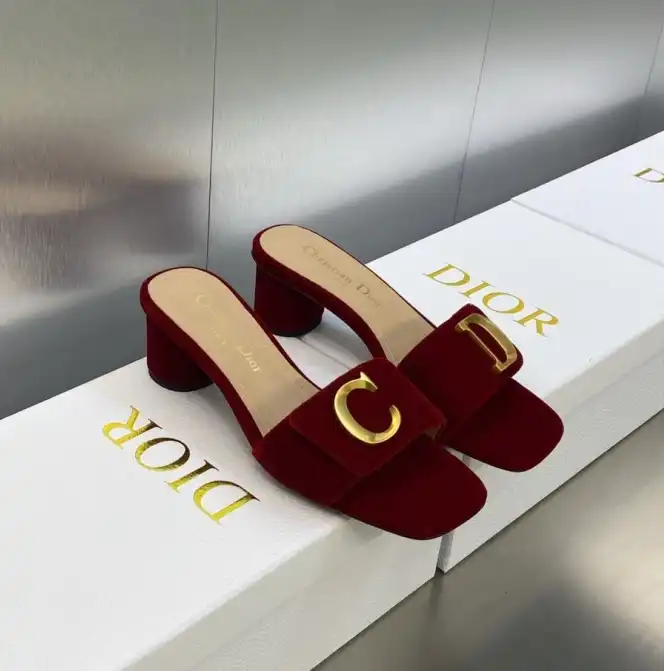 hype Christian Dior Slippers