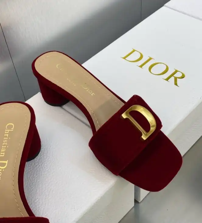 hype Christian Dior Slippers