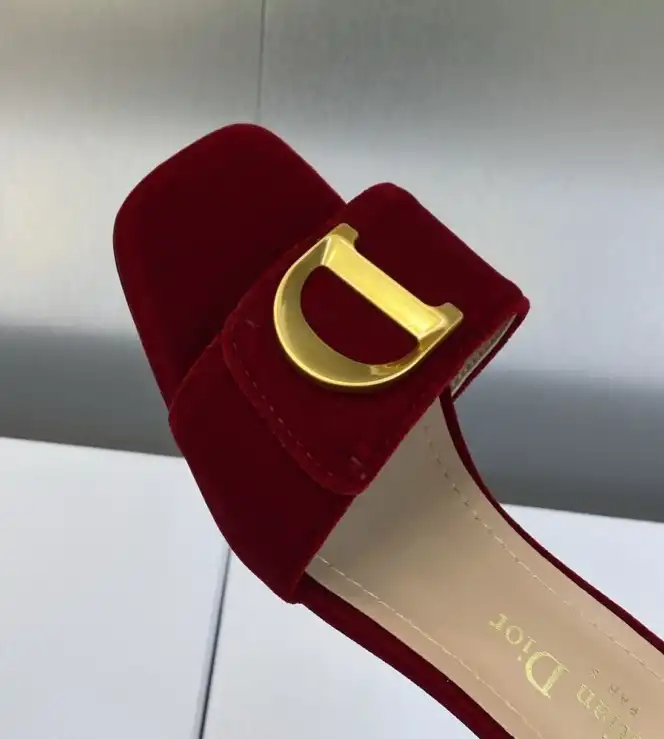 hype Christian Dior Slippers