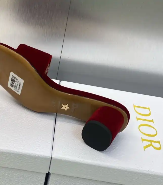 hype Christian Dior Slippers