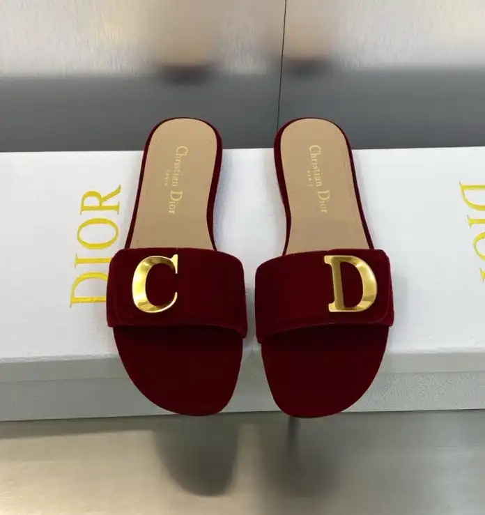 hype Christian Dior Slippers