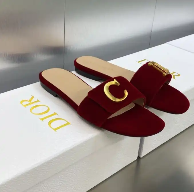 hype Christian Dior Slippers