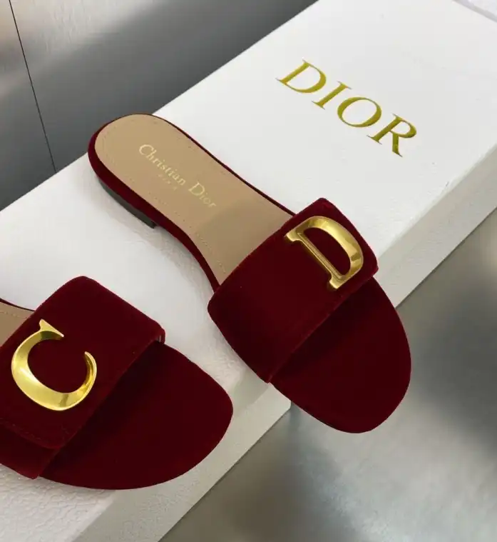 hype Christian Dior Slippers