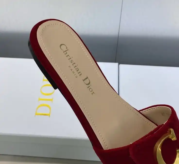 hype Christian Dior Slippers