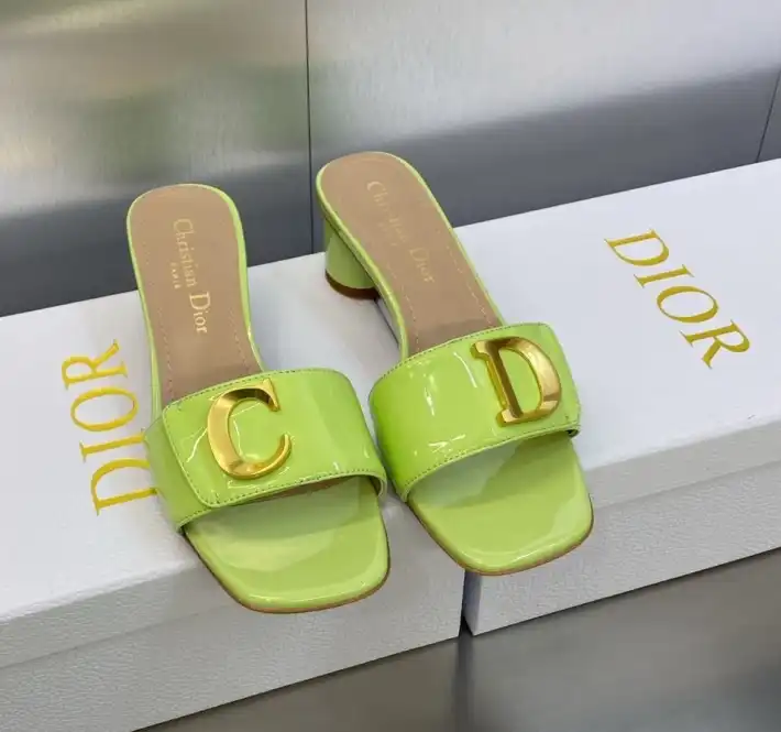 hype Christian Dior Slippers