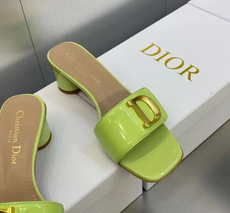 hype Christian Dior Slippers